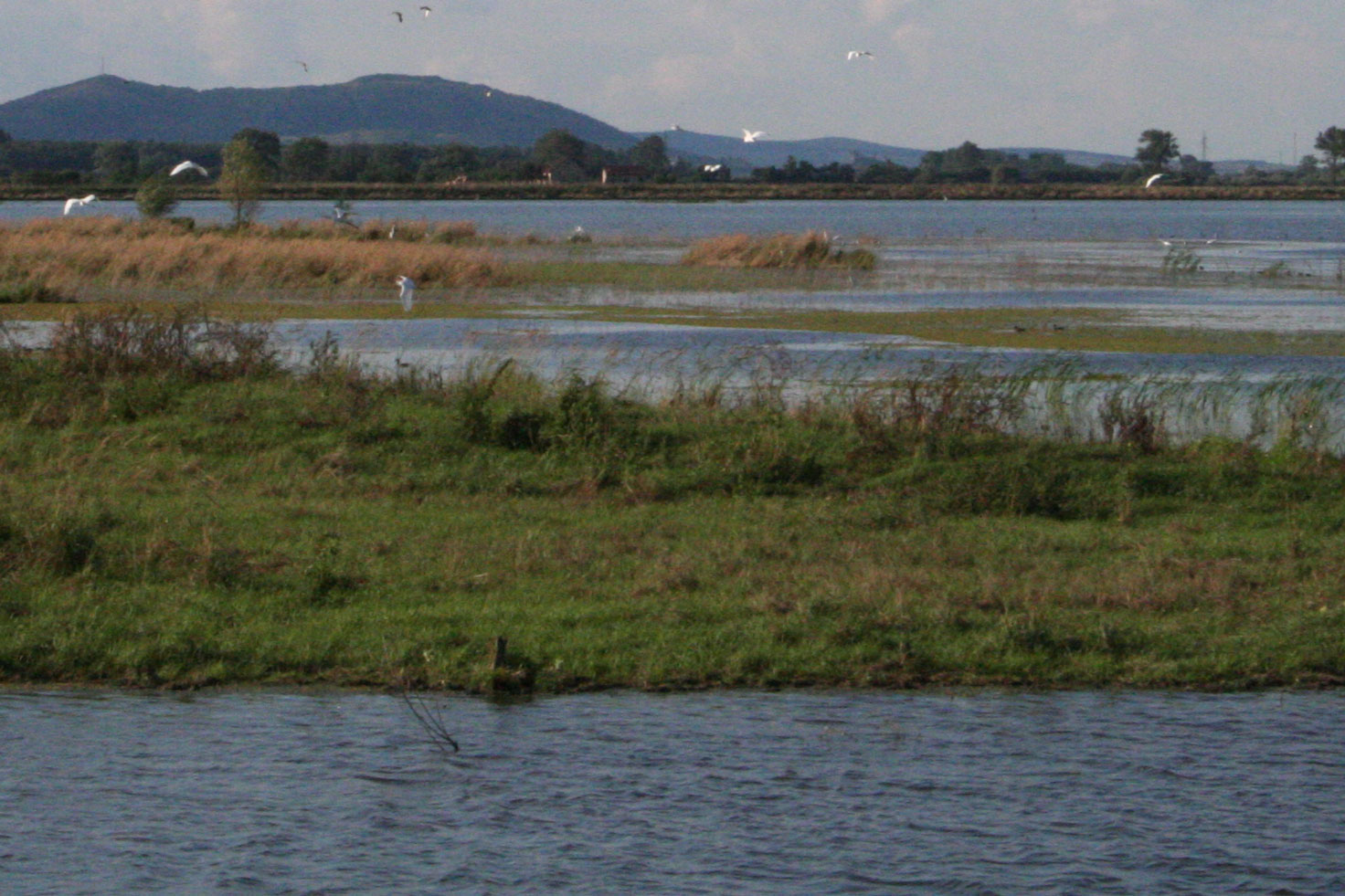 Cigándi vadászterület